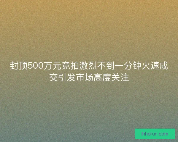 封顶500万元竞拍激烈不到一分钟火速成交引发市场高度关注 封顶500万元竞拍激烈不到一分钟火速成交引发市场高度关注