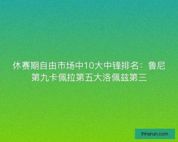 休赛期自由市场中10大中锋排名：鲁尼第九卡佩拉第五大洛佩兹第三